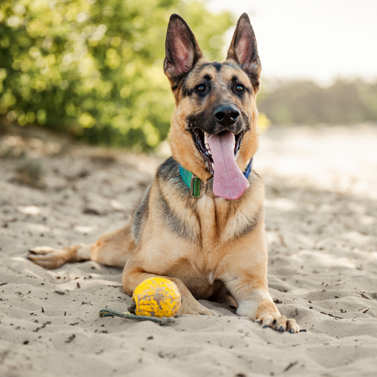 FurFun Beach day box
