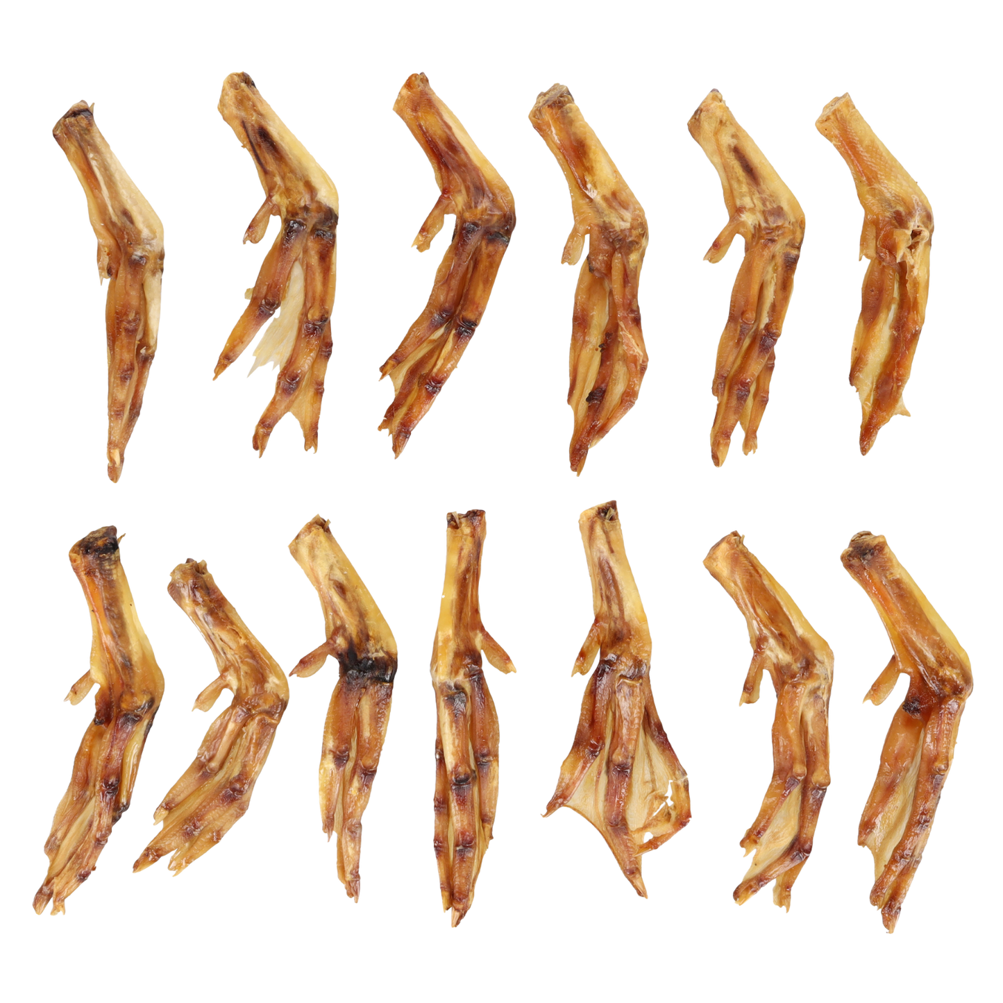 Entenfuß