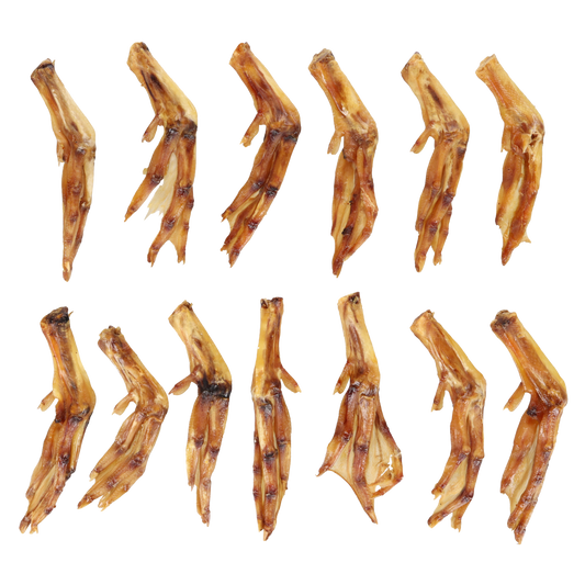 Entenfuß