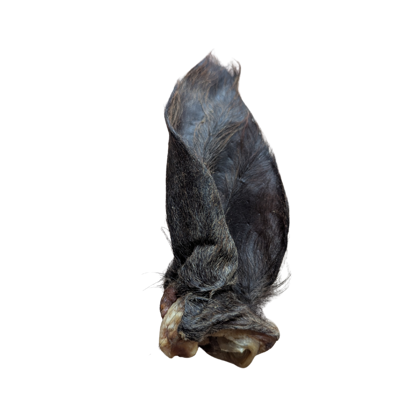 FurFun Beef Ear with Hair