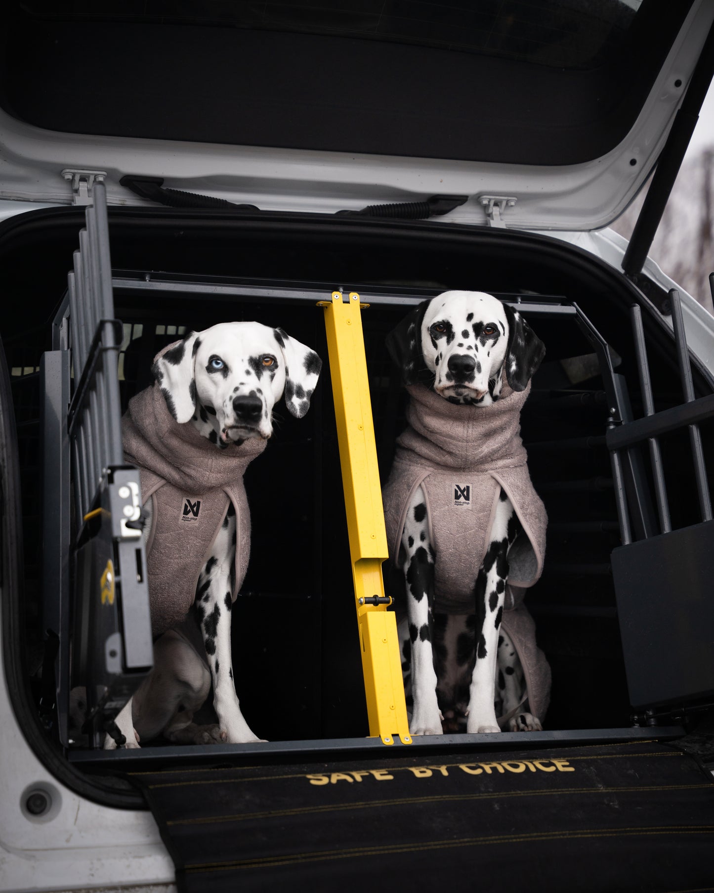 Non-stop dogwear drying coat