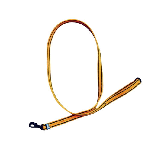 Klassische Hundeleine 150 cm