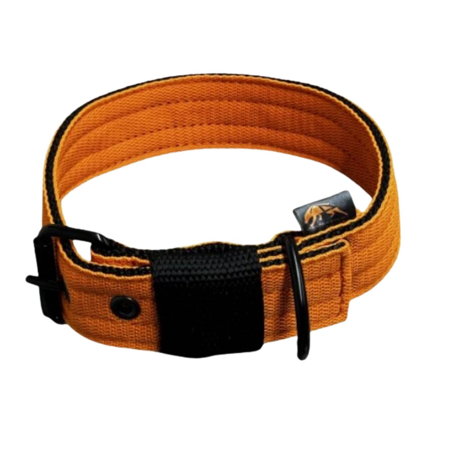 FurFun premium collar in 11 colors