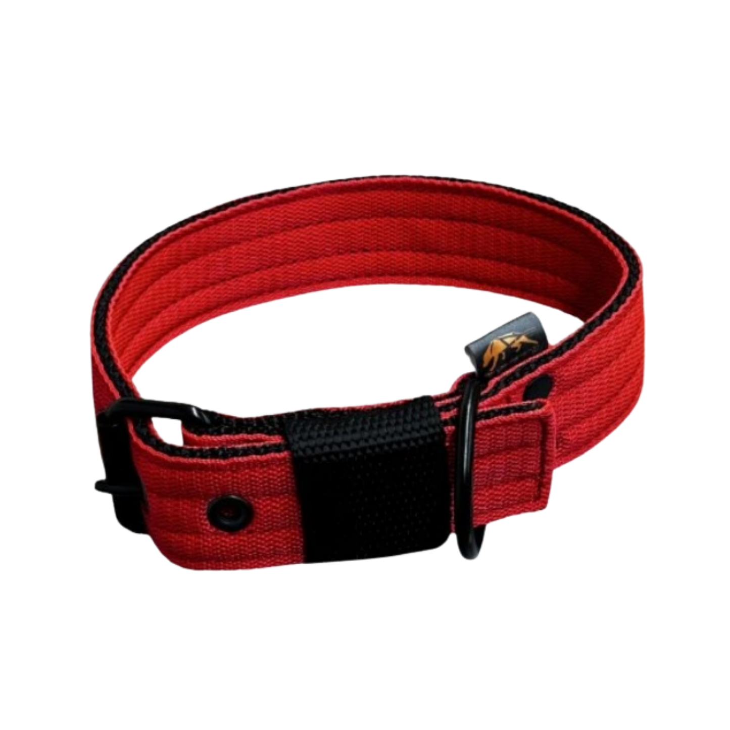 FurFun premium collar in 11 colors