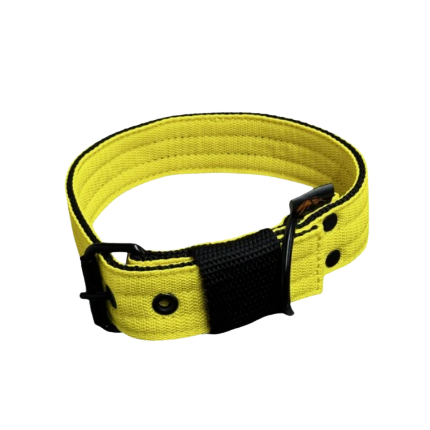 FurFun premium collar in 11 colors