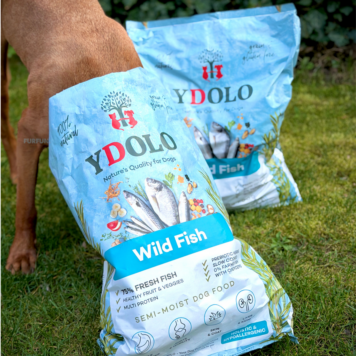 Ydolo hondenbrokken - vis - 10kg