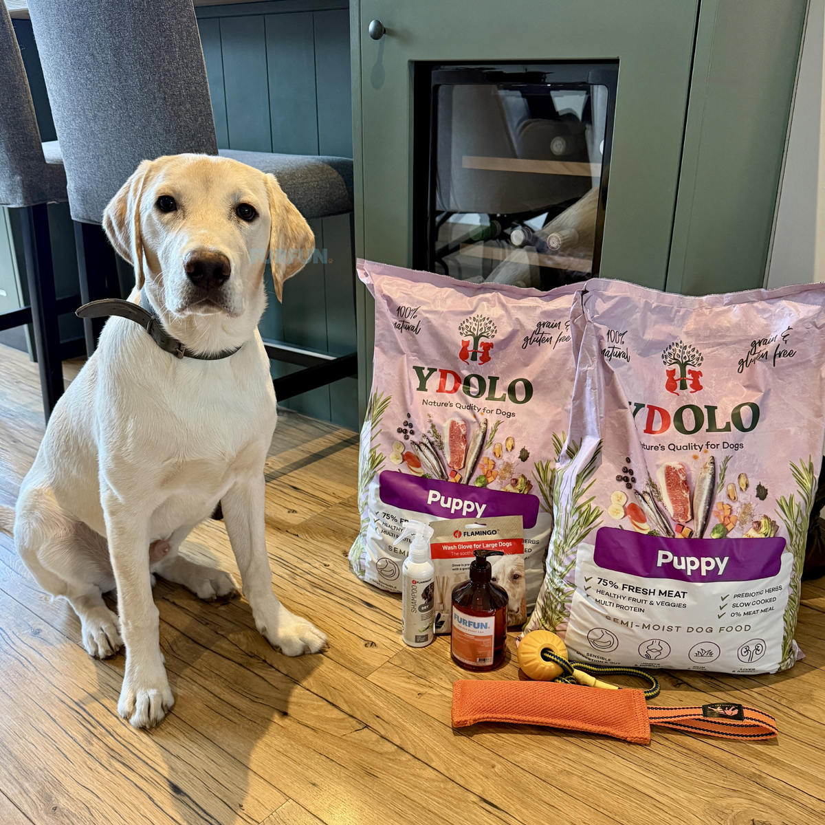 Ydolo Welpe - 10kg