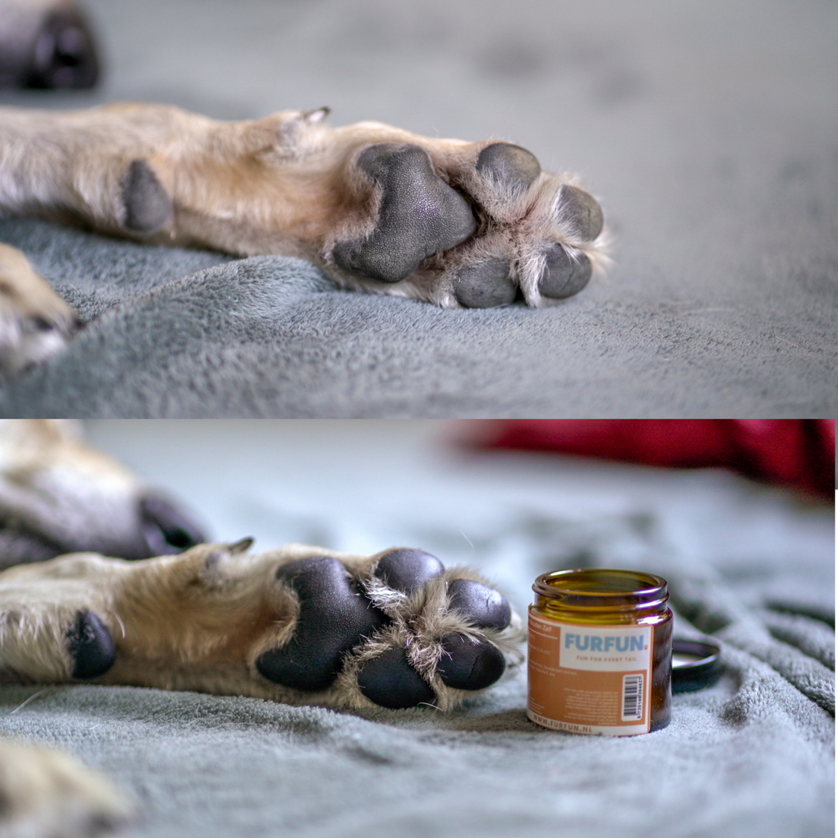 FurFun Paw and Snout Ointment – ​​60 ml