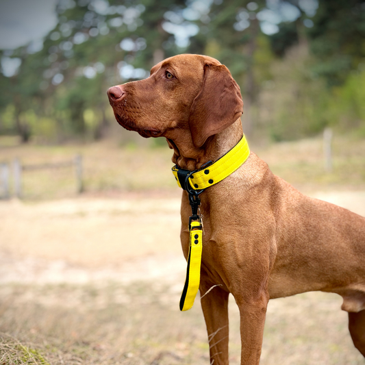 FurFun premium short holder