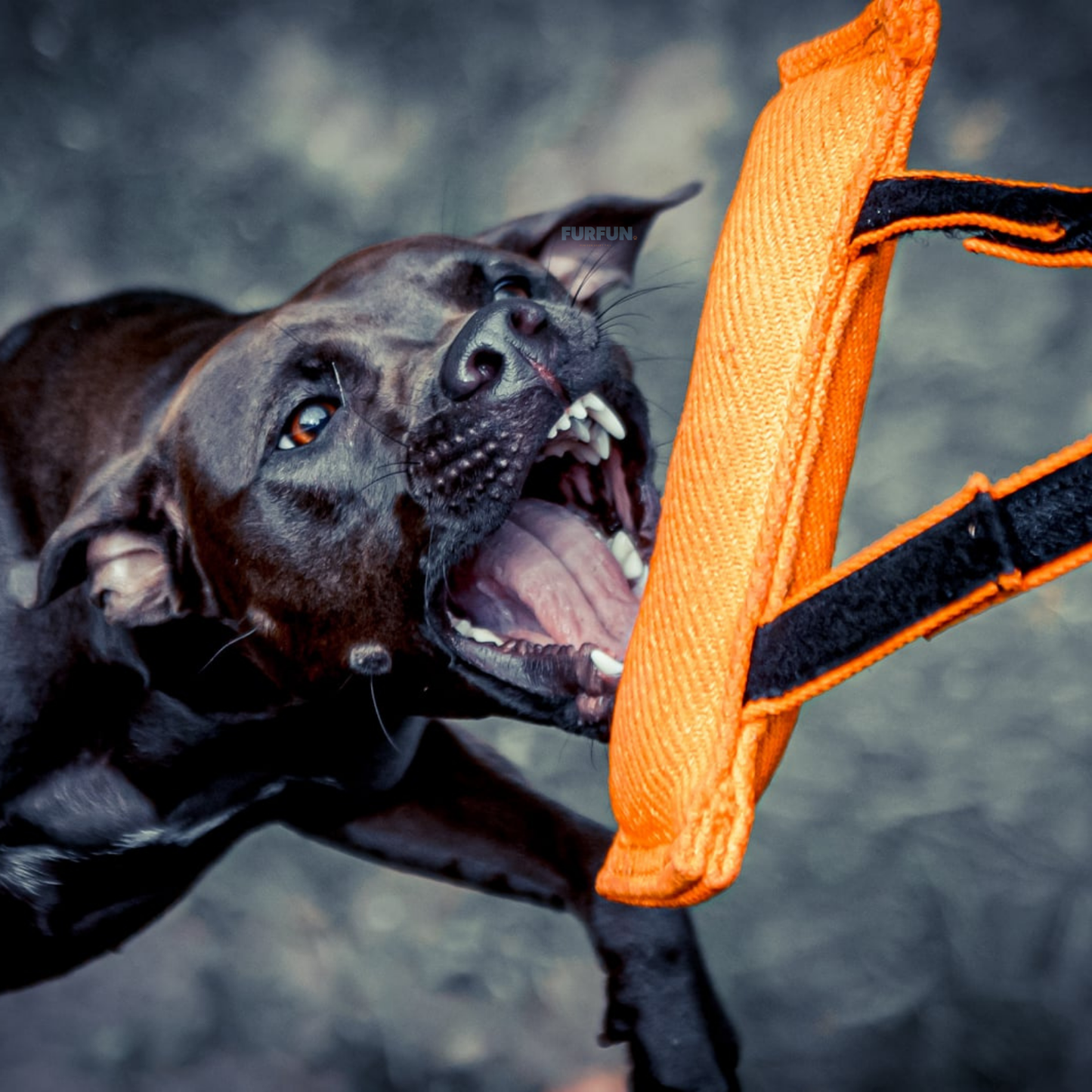 FurFun Grip