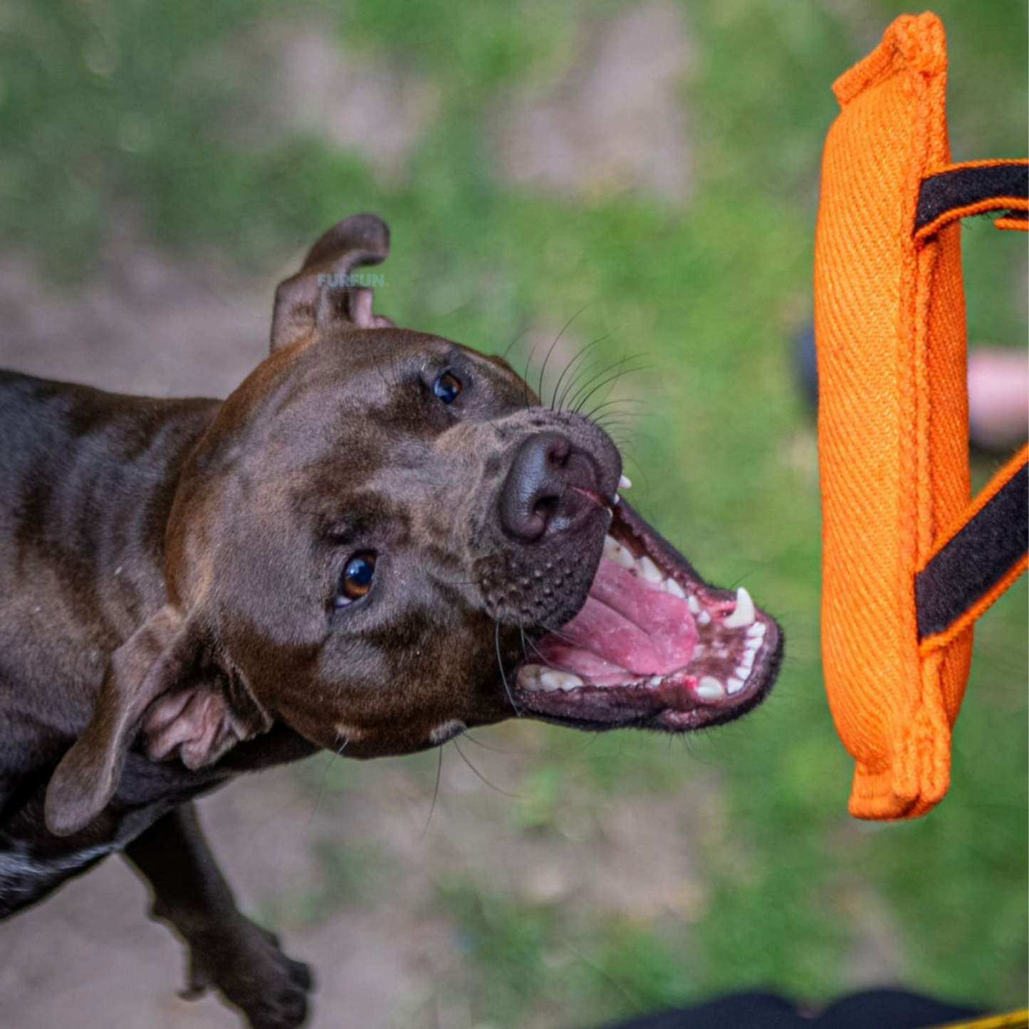 FurFun Grip