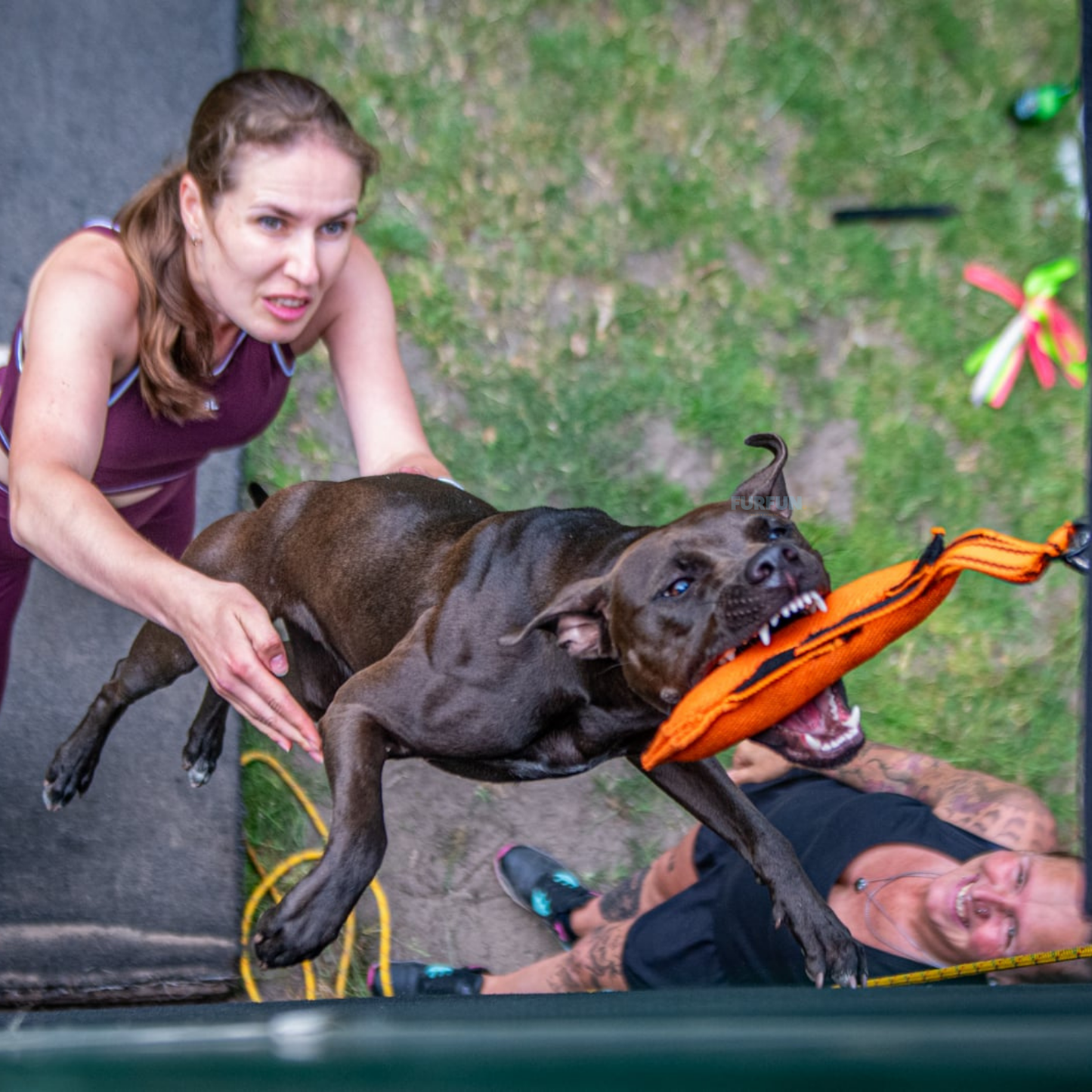 FurFun Grip
