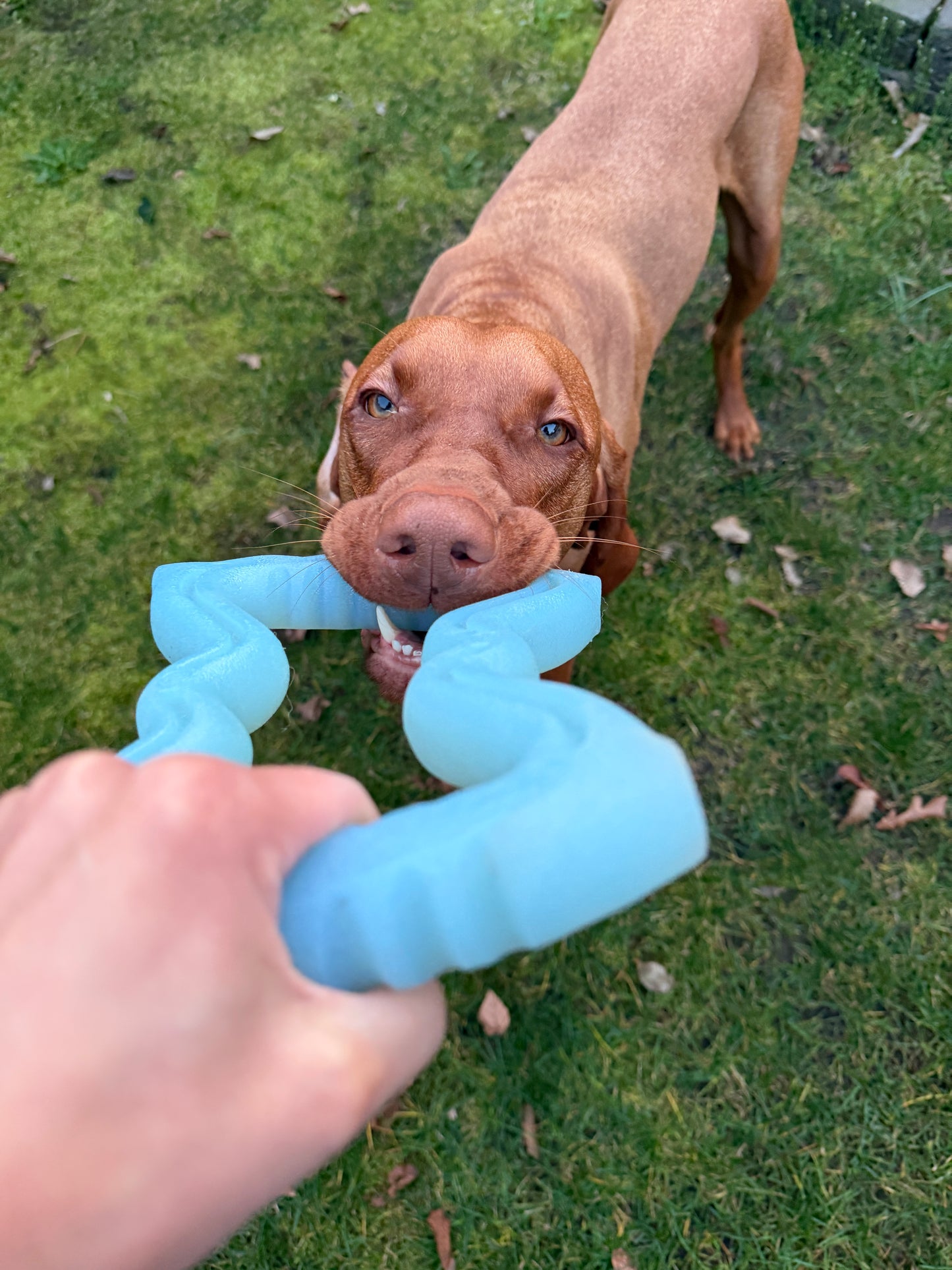 DuraTug Stretch Toy