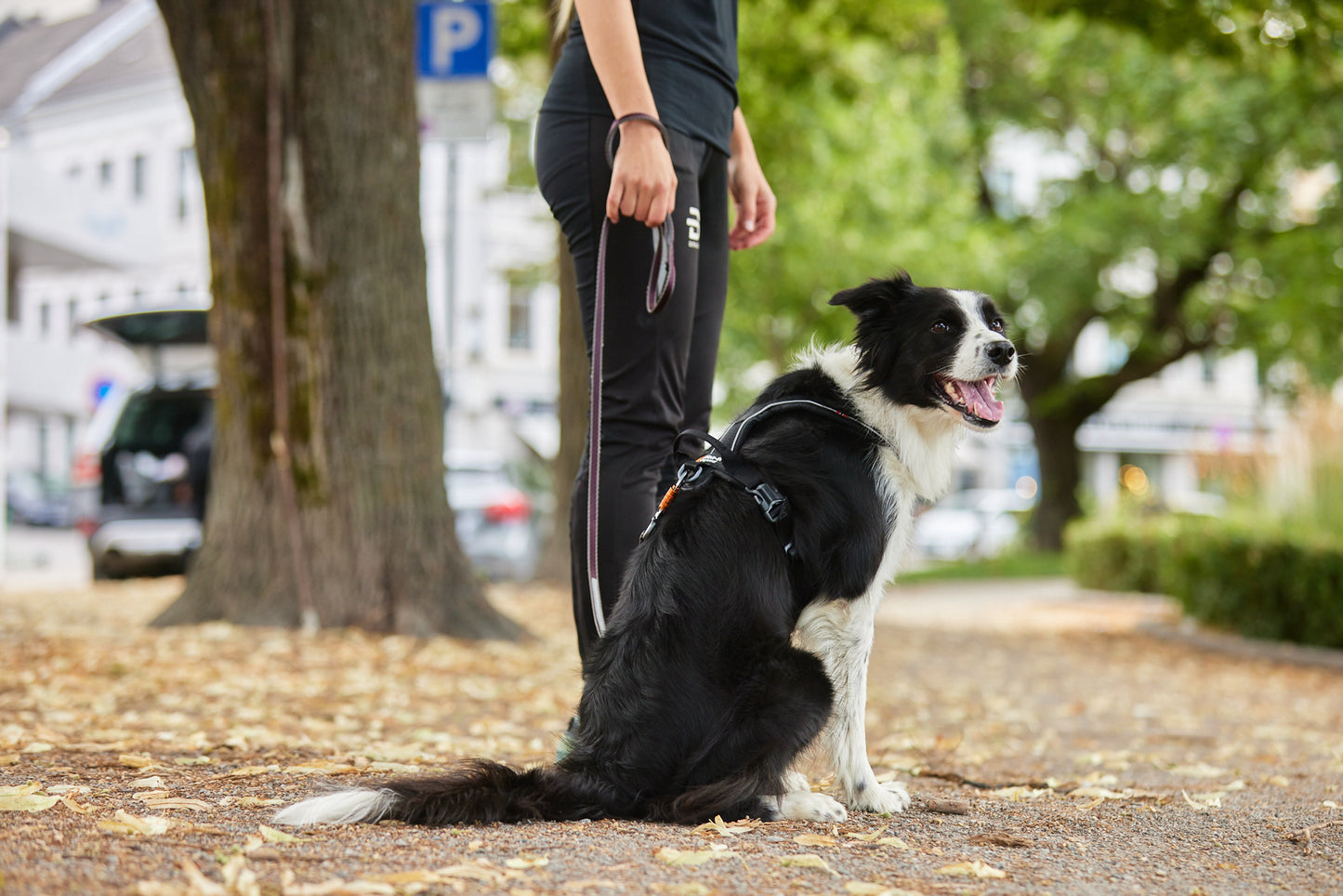 Move leash Non-Stop Dogwear