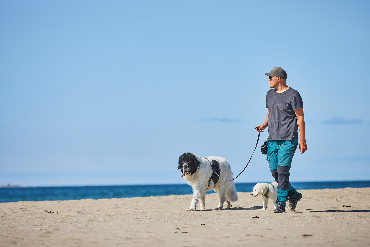Move leash Non-Stop Dogwear