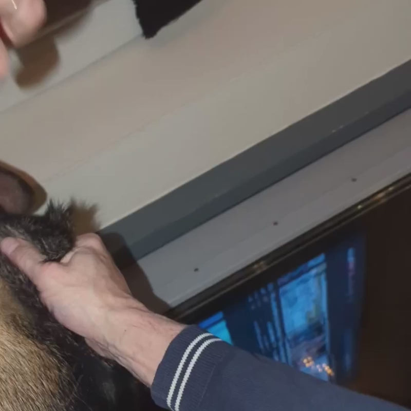 Video laden: 