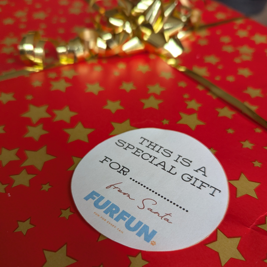 FurFun Christmas Box 2026