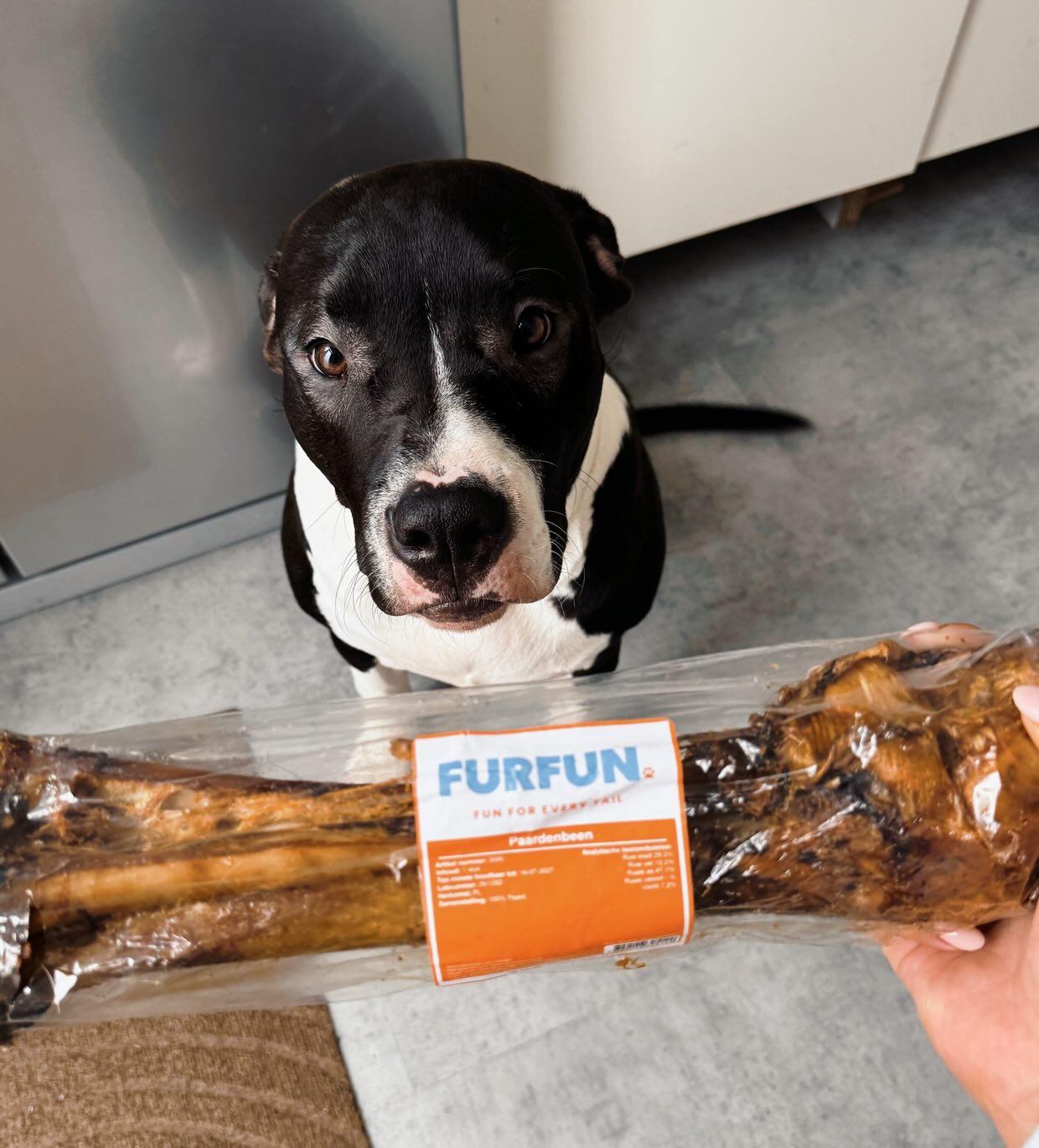 FurFun Pferdebein