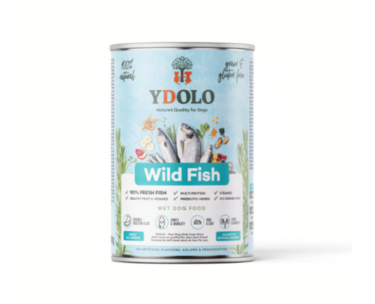 Ydolo blikvoer
